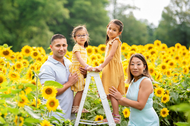 Mom and dad standing next to their two daughters who are on a white ladder in a sunflower field for their family portrait in Burlington, On