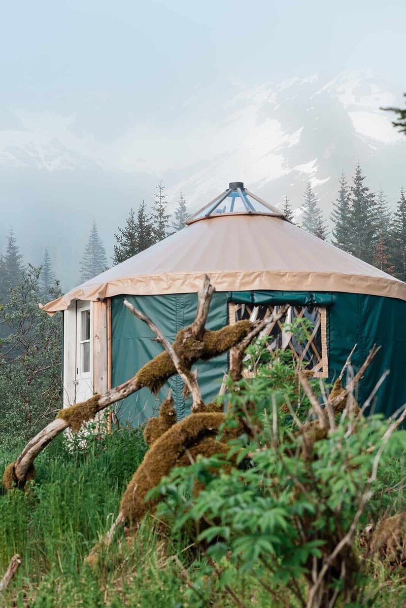 A glamping yurt with light colored roof and forest green walls, is on a platform on the shore of Bear Lake in Alaska where the couple is staying during their two-day luxury dog sled elopement .  There downed tree in the foreground, weather, and covered in lush green moss and green grass all around.  Behind the text is a fog touched view of huge, snow-covered mountains that fill the background.