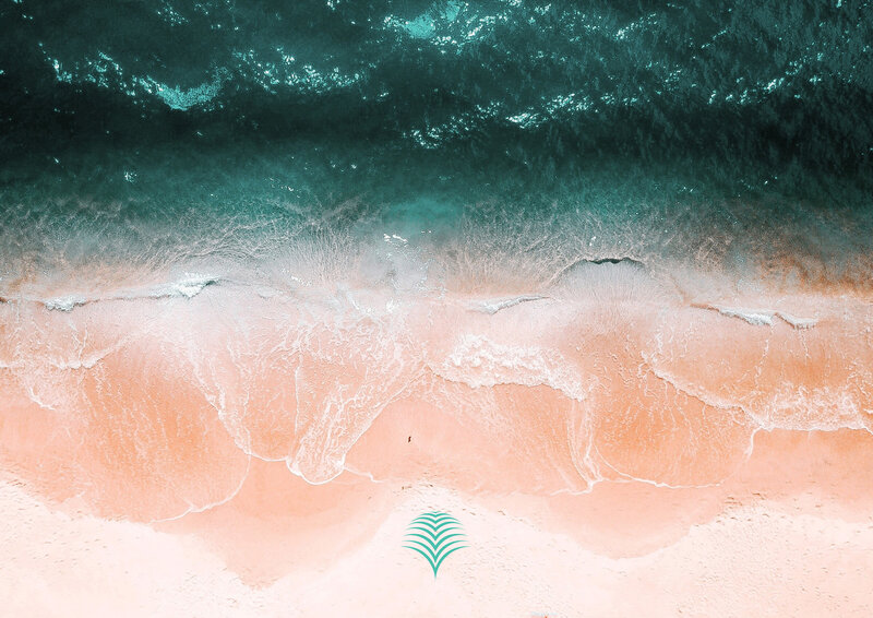 Teal green palm leaf brand icon overlaid on arial photography shot of deep turquoise waves lapping on the peach sandy shore.