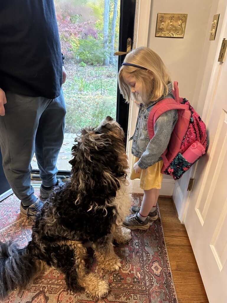 3009ED24-0423-4B6E-8D22-039D0521BD4D_1_105_c