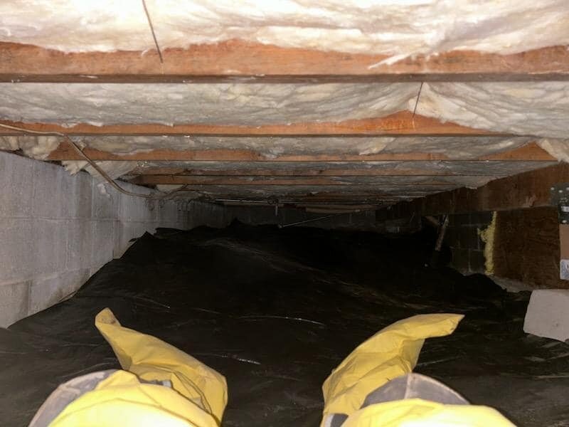 Clean and well-maintained crawl space with vapor barrier installation for moisture control