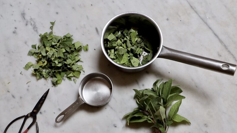 How to Make paint from plants