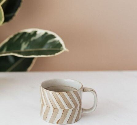 plant and mug