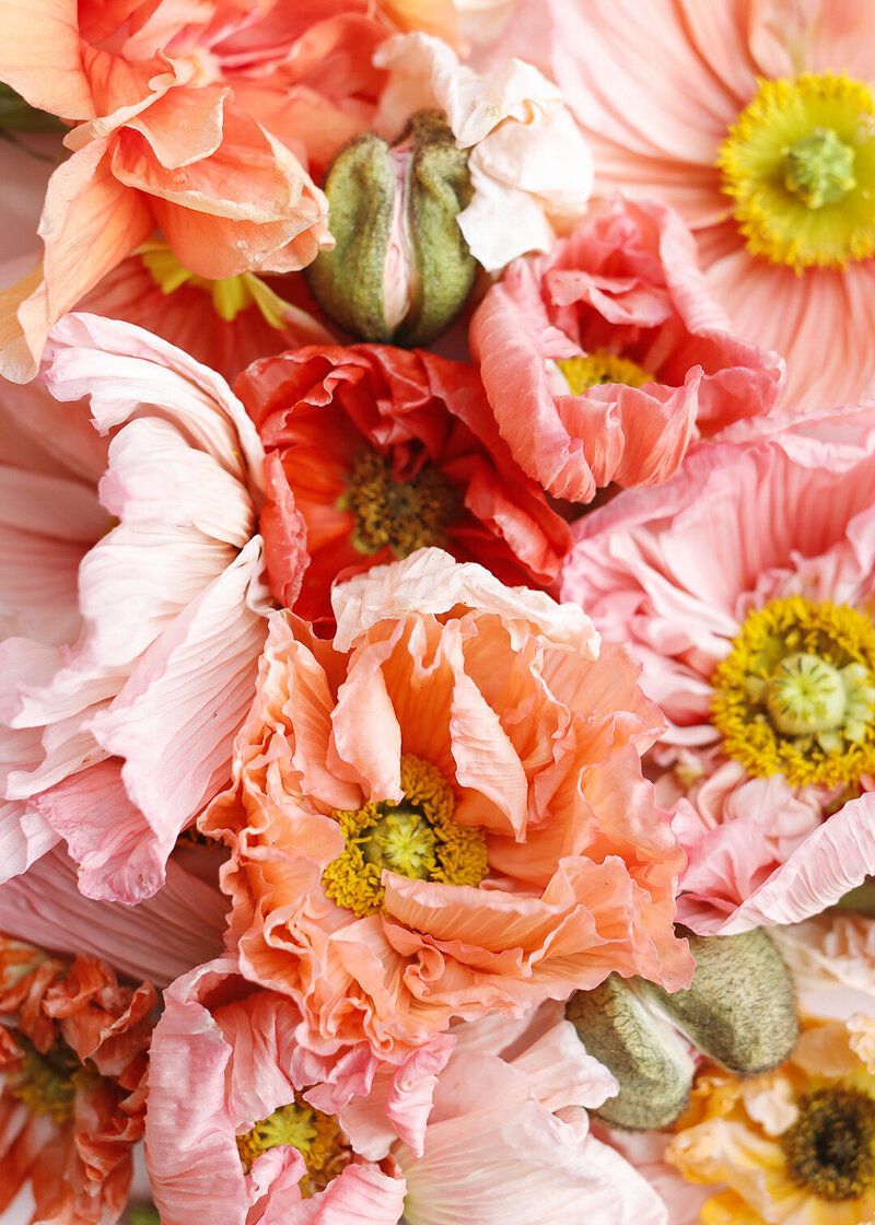 Coral_Social-Squares_Styled-Stock_01102 (2)