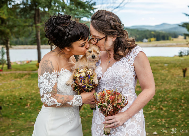 Two brides with their tiny dog at Barn Wedding in Evergreen