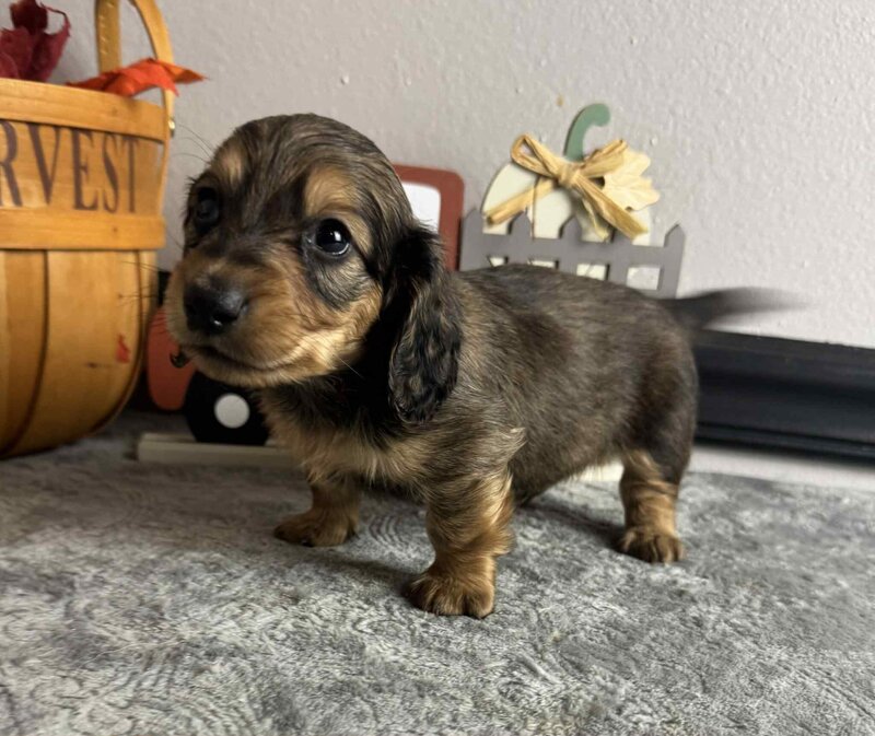 8c8c1ef0-a1b7-44bf-a693-21a29a95d1d7