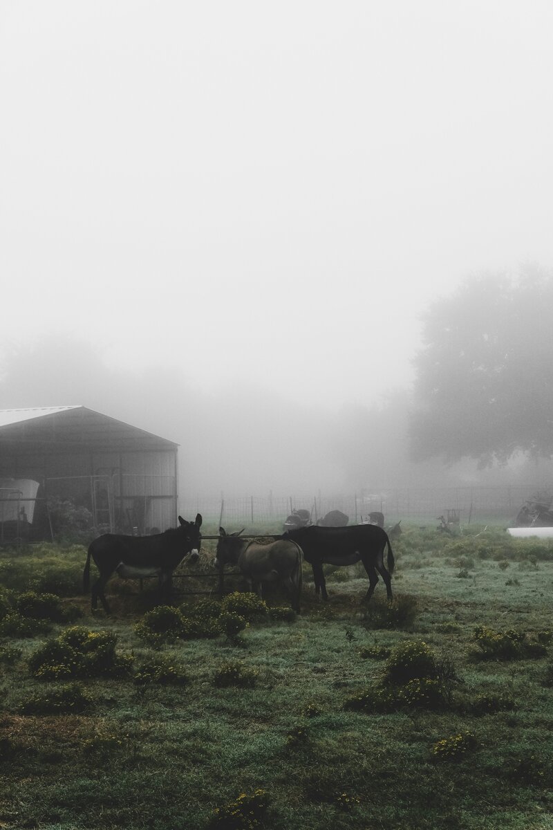 nick-elkins-WY0k4vgq0v4-unsplash