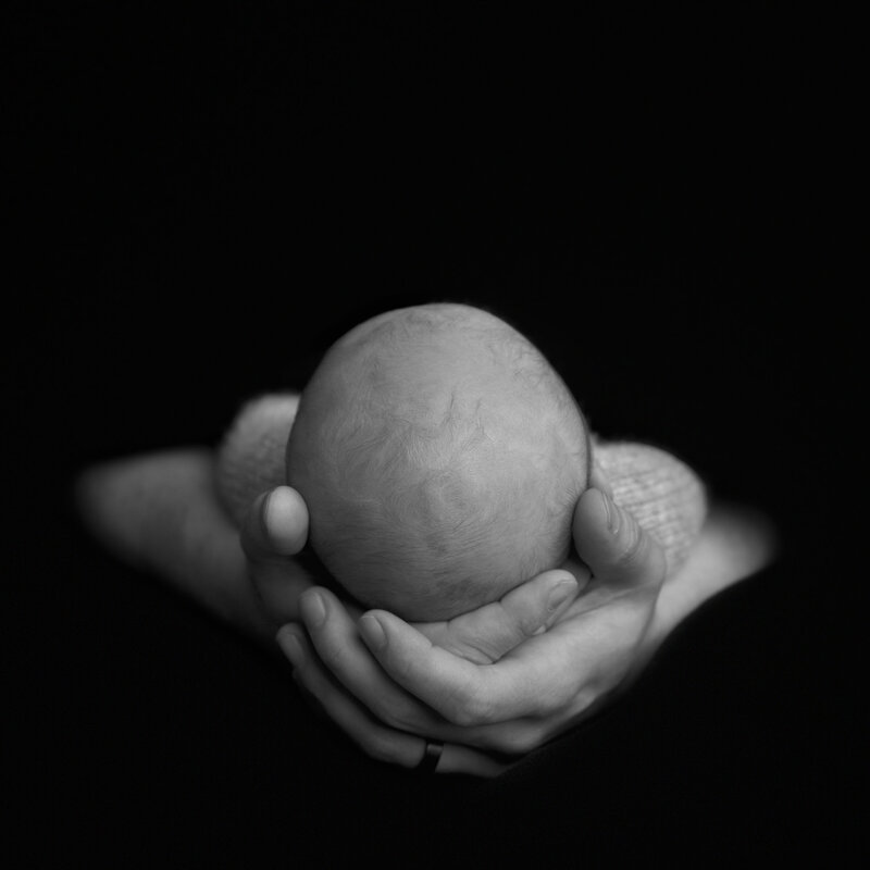 A macro image showing the back of a newborn’s head resting in a father’s hands—safe, cherished, and held with love.