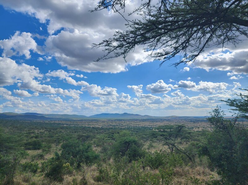 TAASA Safari Wildlife (9)