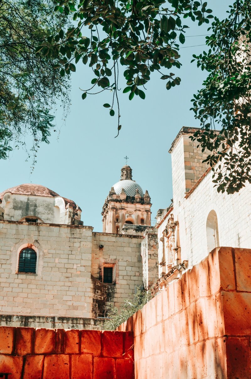 ale-cisneros-1rZEYTfL-5A-unsplash