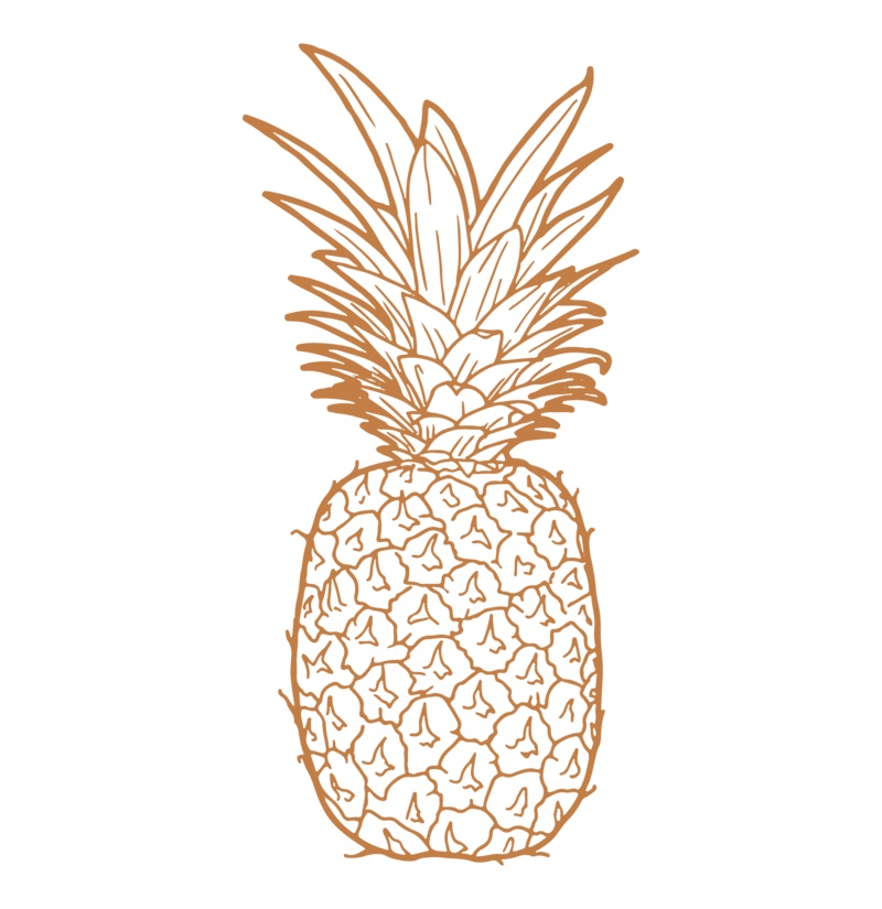 pineapple doors gold pineapple illustration
