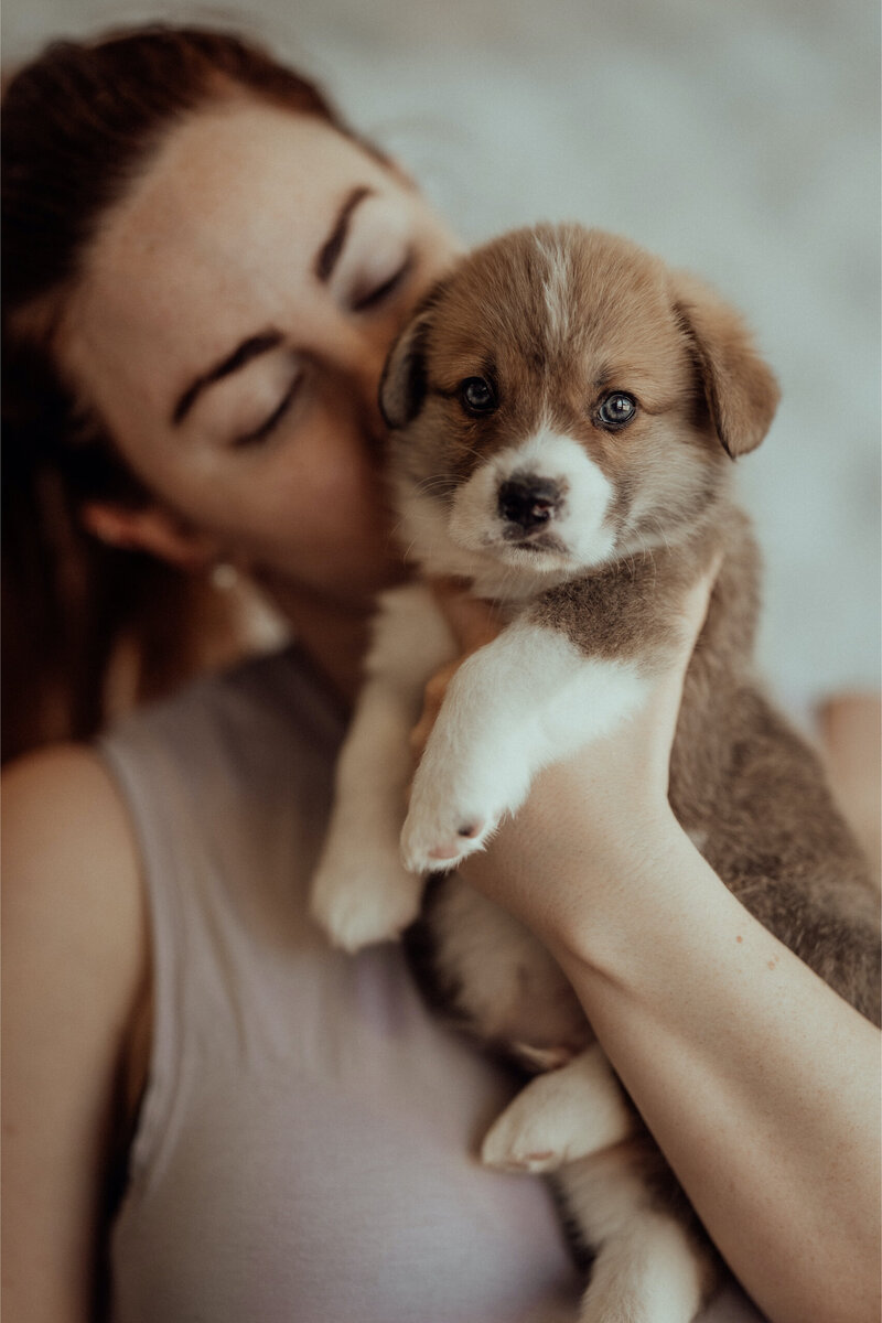 the-lifestyle-phodographer-perth-family-pet-photographer-litter00017
