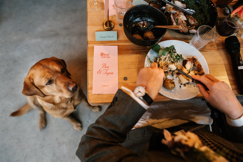 TTWWR UK Wedding Photographer 2023 Faves-8