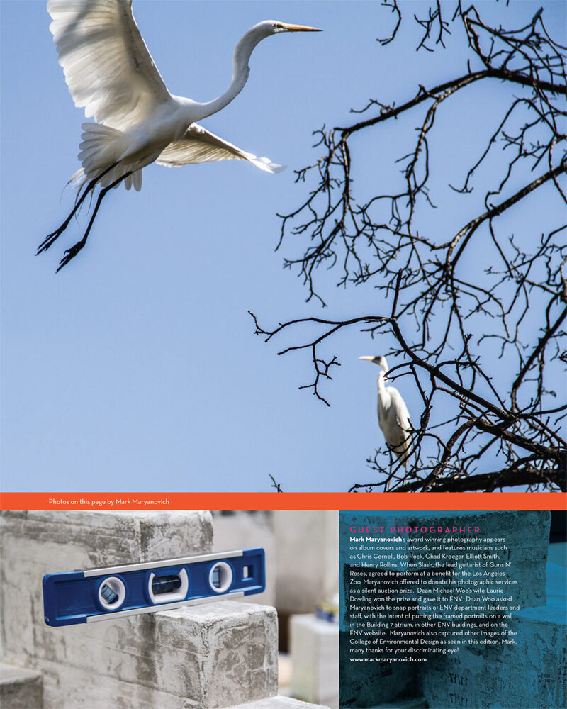 Corporate Lifestyle Photo white crane flying toward tree on campus insert of architectural level tool on concrete blocks ENV Magazine page 2