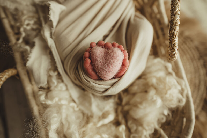 Owen Sound Newborn Photographer 02