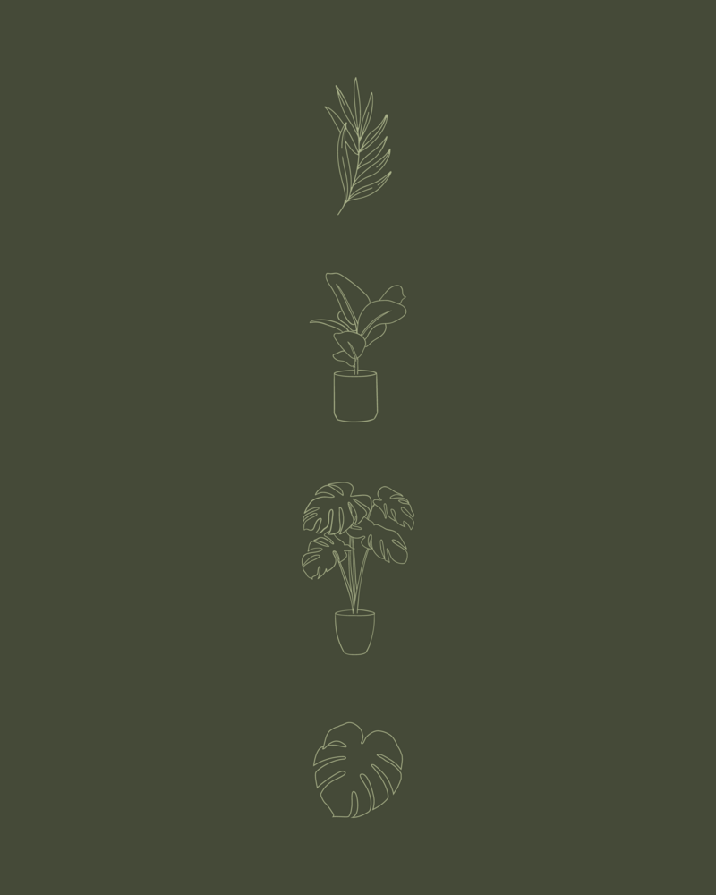 HH__Launch Graphic 11