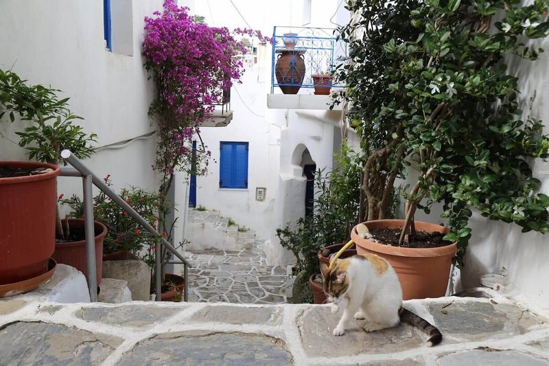 Traditional Greek architecture at the yoga retreat location.
