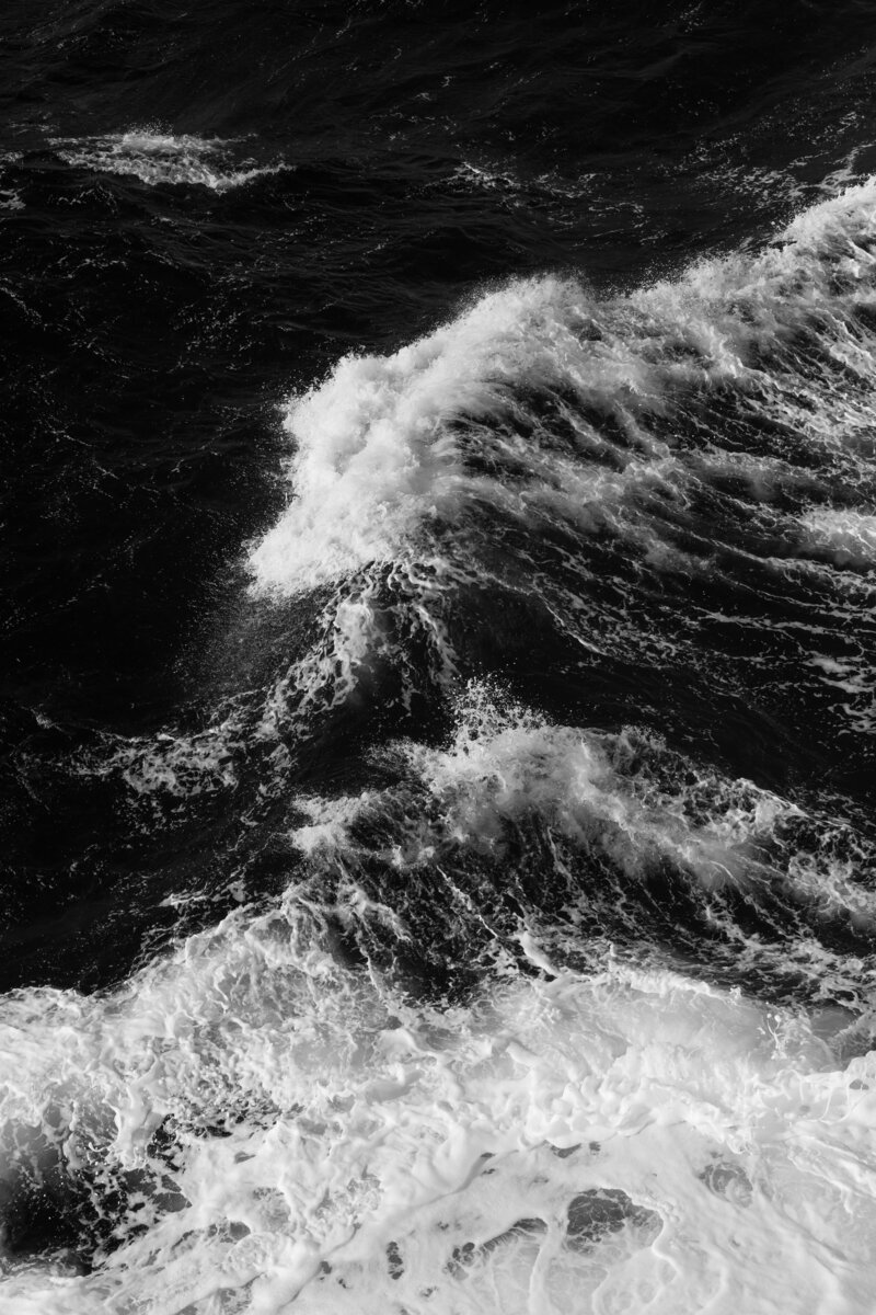polina-silivanova-U91s4-CBgac-unsplash