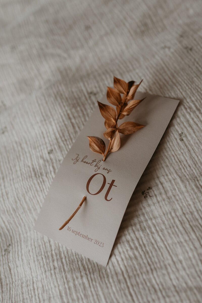 Studio 1412 - Newborn Ot-119