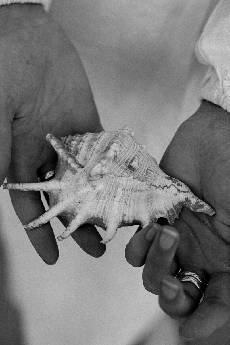 A black and white photo of seashell being held in hands, accompanying Temple Dreams Studio service for healers, coaches and therapists experiencing rapid growth and need streamlined digital infrastructure that matches their expanding vision. 
