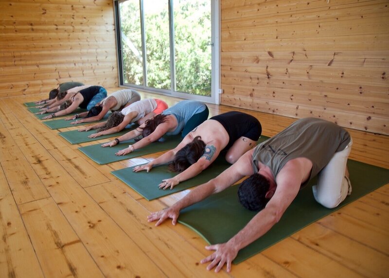 yoga-teacher-training-class-child-pose-group