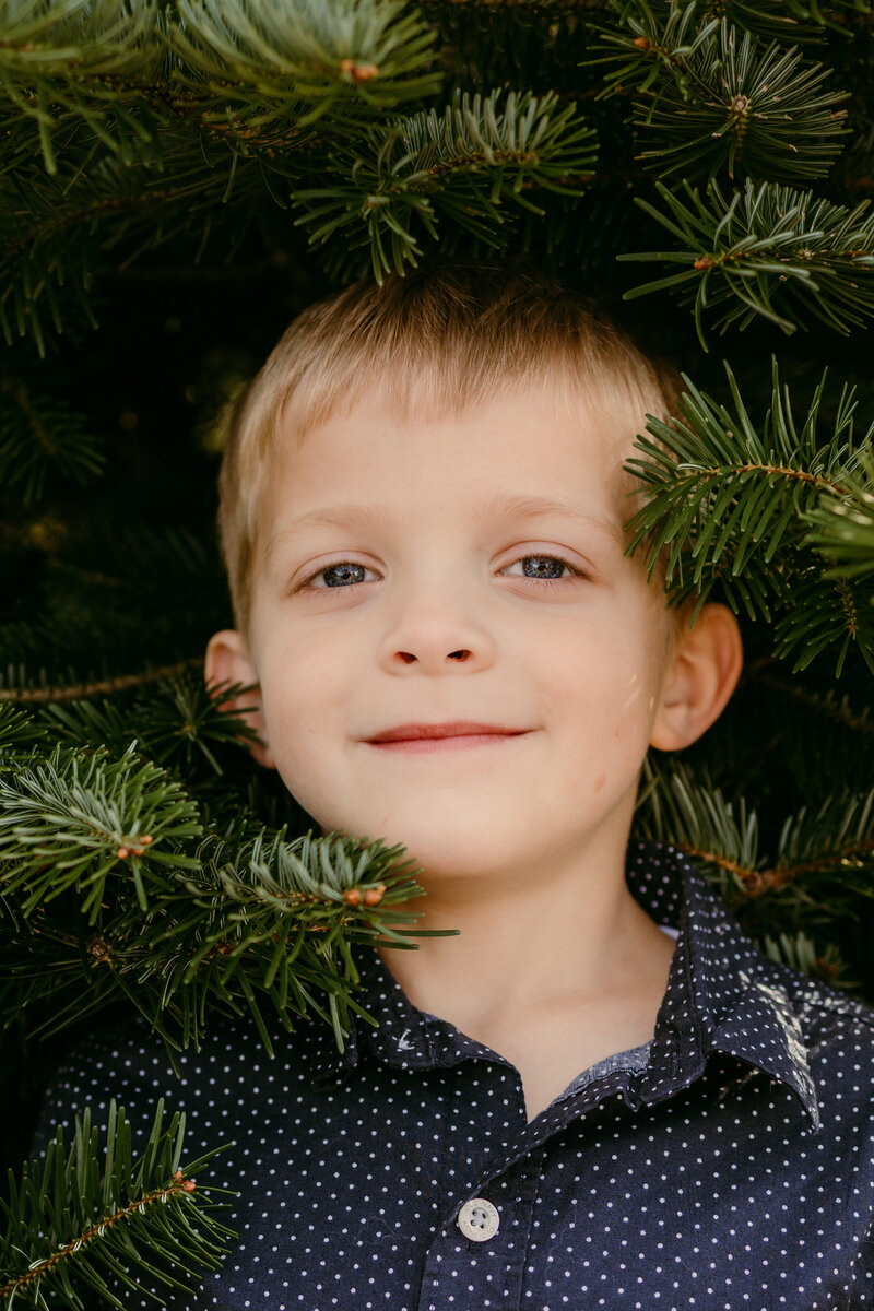 Holiday family photo sessions in Springfield, Oregon