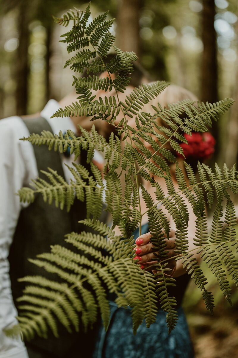 A newlywed couple shares a kiss in the redwood forest as one partner holds up a fern in front of their faces