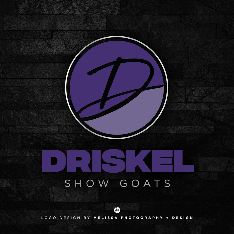 Driskel-Logo-Design-Social