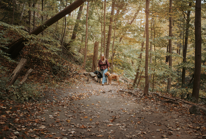 Untitled design - 2025-11-13T181515.597