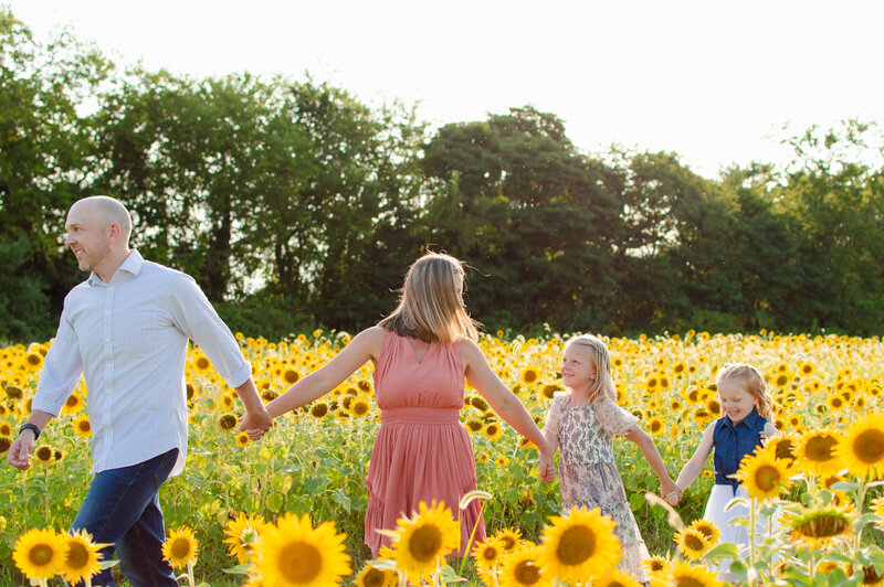 sunflower1