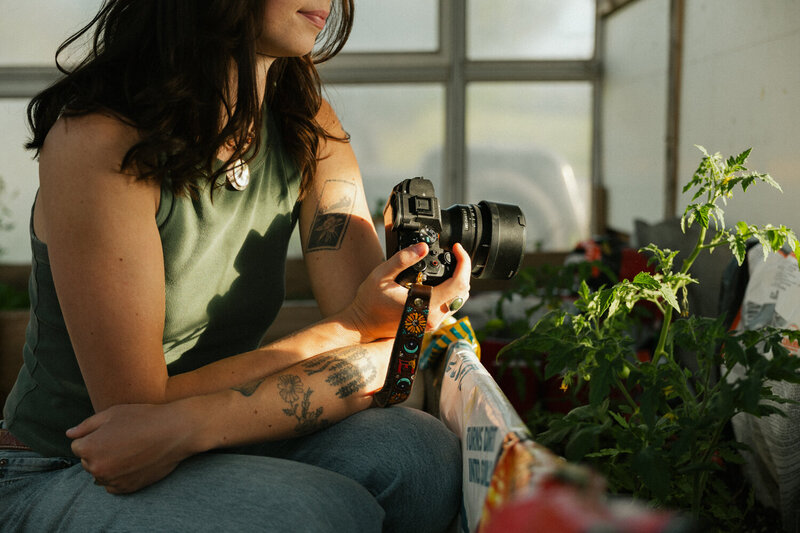Up close picture of a tomato plant with green leaves and a woman's hand holding a camera