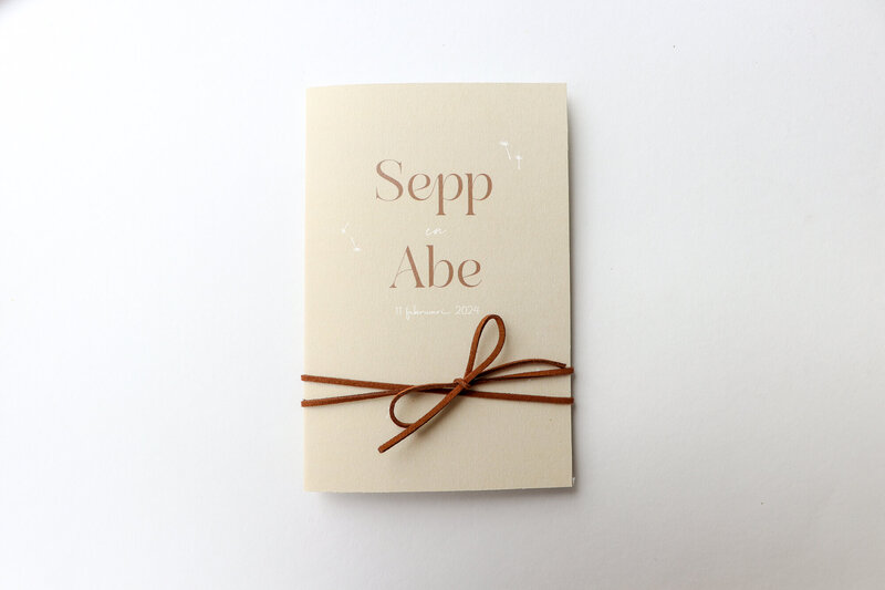 Bijzonder-tweeling-geboortekaartje-jongens-in-beige-pocketfold