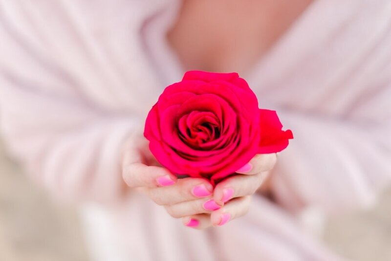 Hands holding a single red rose