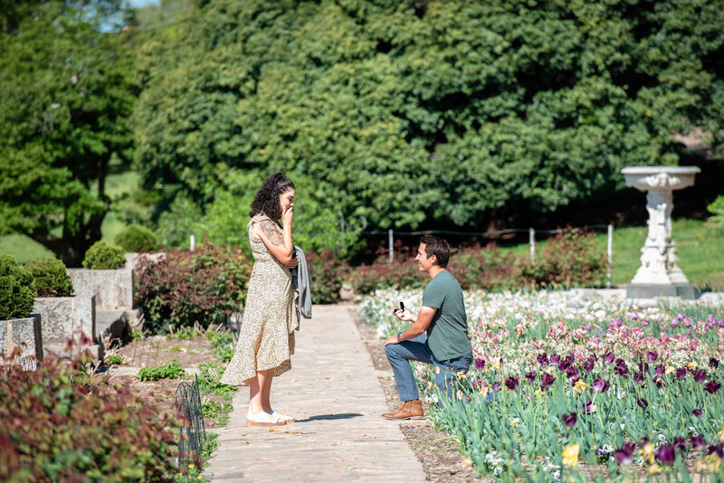 man down on one knee in  tulip garden proposes to his surprised love