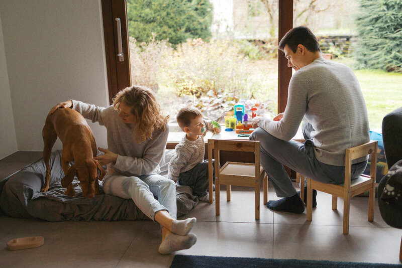 Familie mit Hund spielt zusammen