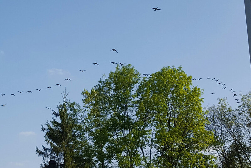 Jen Burghart Reiki 0060524_200855