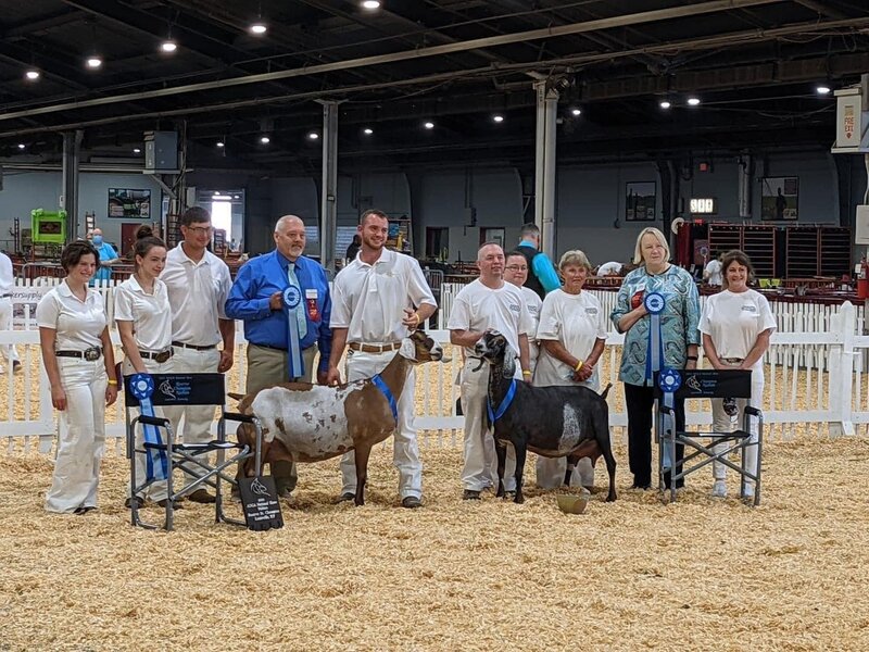 J&M Hideaway Nubians 2021 ADGA National Show