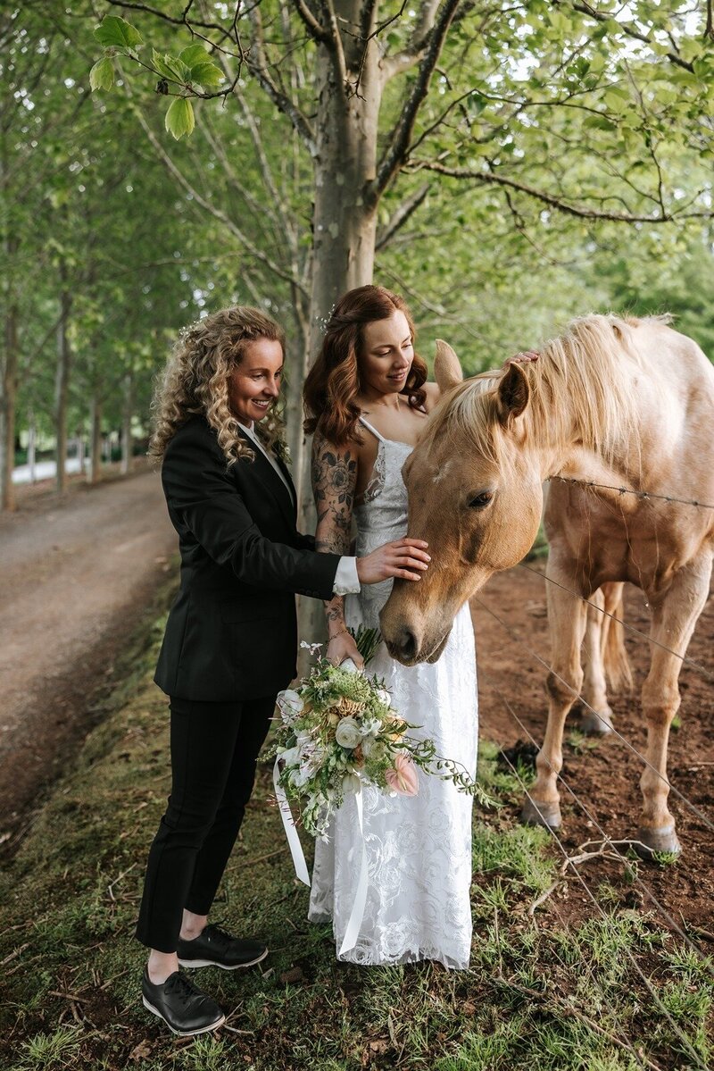 Two people in wedding attire in the countryside patting a horse. 