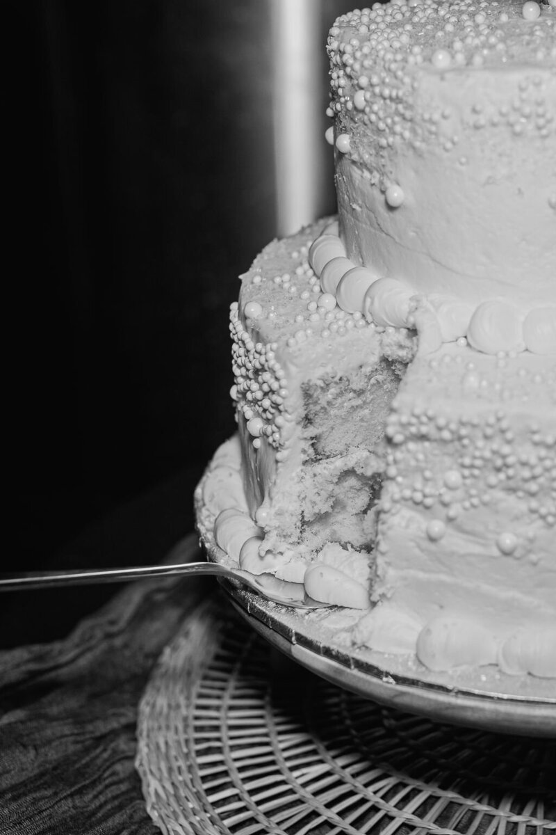 Black and White Cake Commerce Michigan Wedding Photography