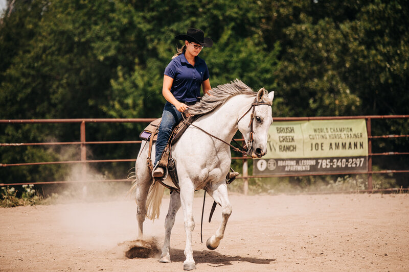 Horse Photography (8)