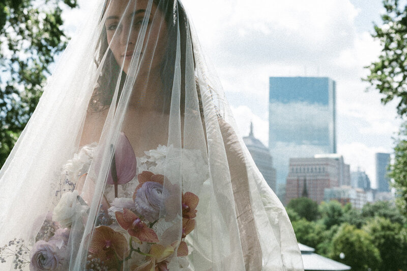 Bridal Portraits in Boston Common Park