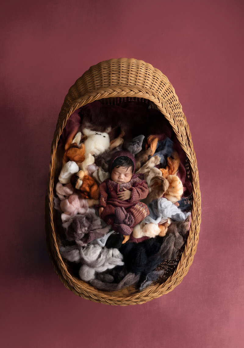 newborn baby hanging from tree of life swing in studio in oakland county michigan