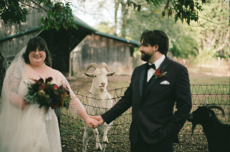 beautiful wedding on film with a vintage feel