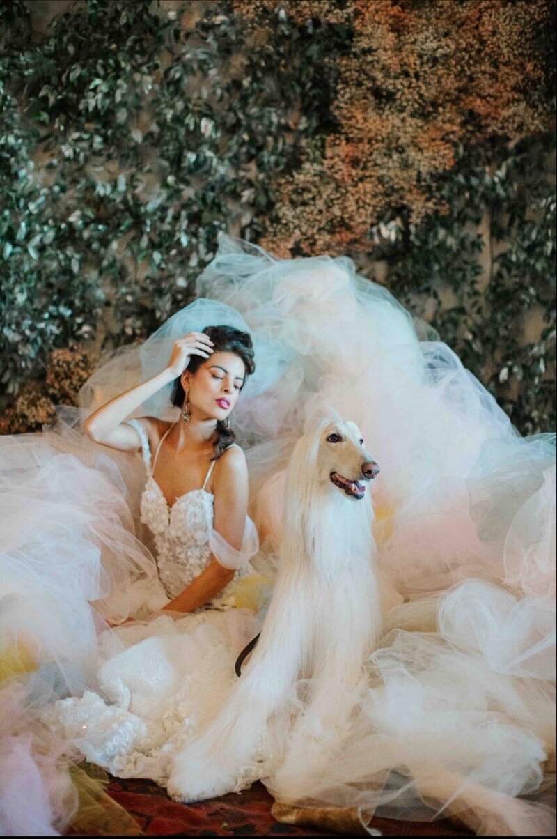 Bride and dog luxury wedding urbanek beauty