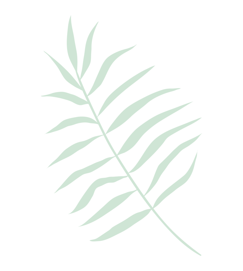 Green leaf graphic