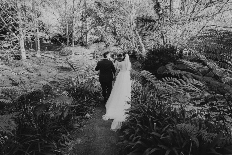 Get married amongst the Vines on the Central Coast at Firescreek Winery. The image shows a couple in wedding dress walking through a dense section of ferns along a path by the pond and vineyard. It is Black and White.