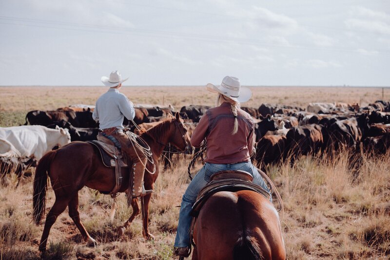 Working Farm Ranch Farm + Ranch Jobs