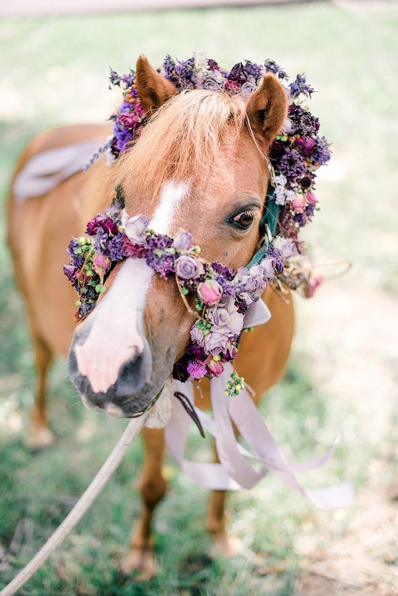 Bloomington_Indiana_The_Wilds_Wedding_Event_Venue_Modern_Farmhouse_Weddings_54