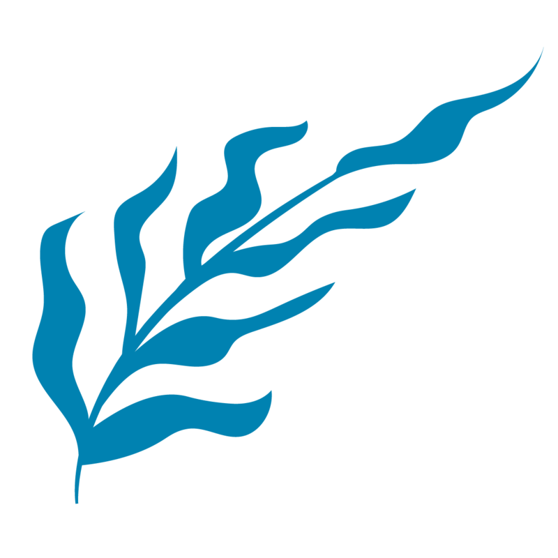 Graphic of kelp in blue