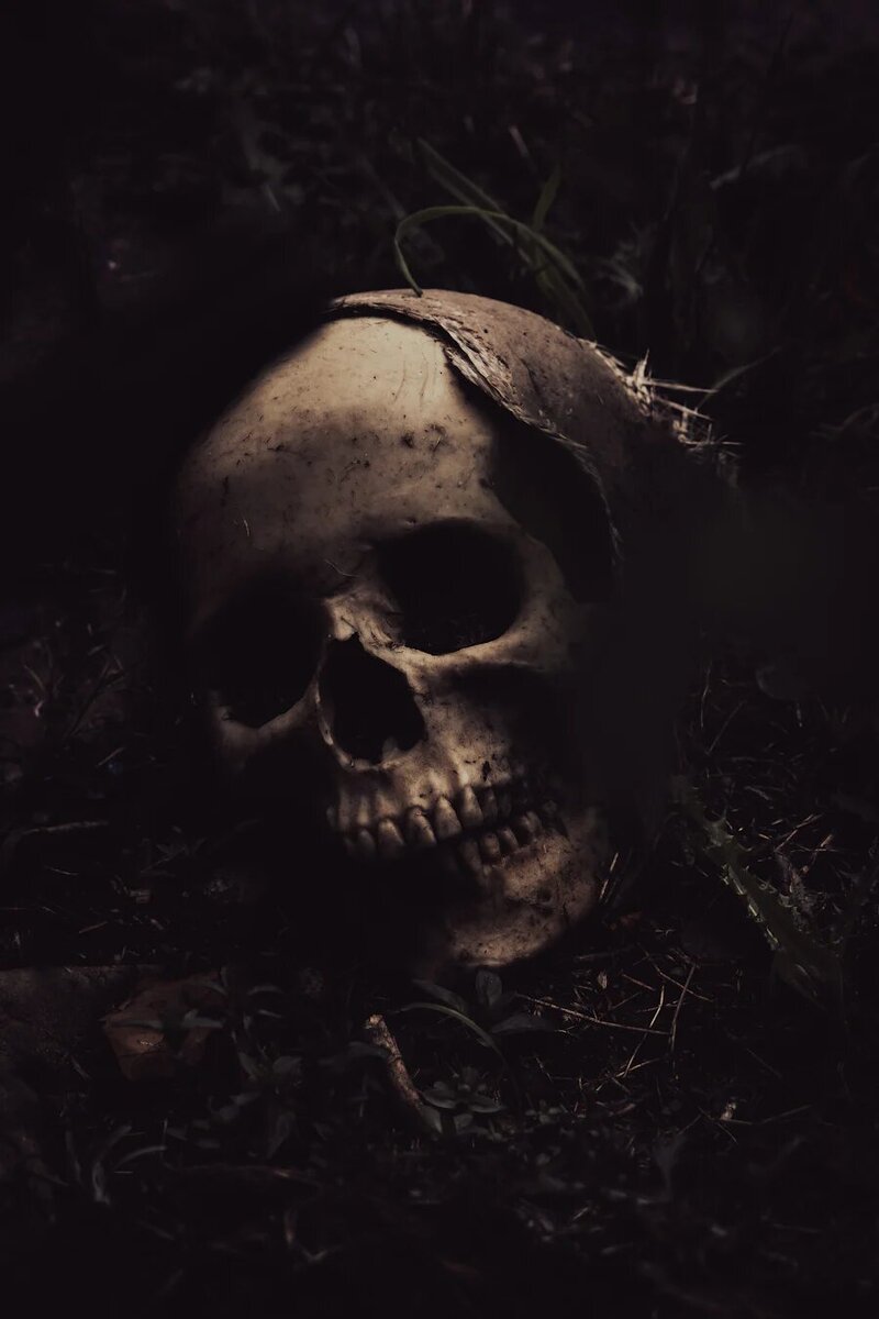 photo-1633446259606-45413db196a7